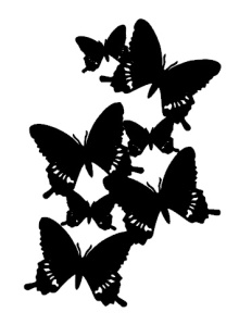 Envolée de papillons